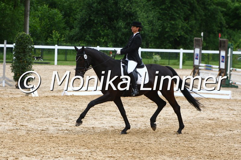 006M4812_Dressur L_Rubicells Dream.JPG